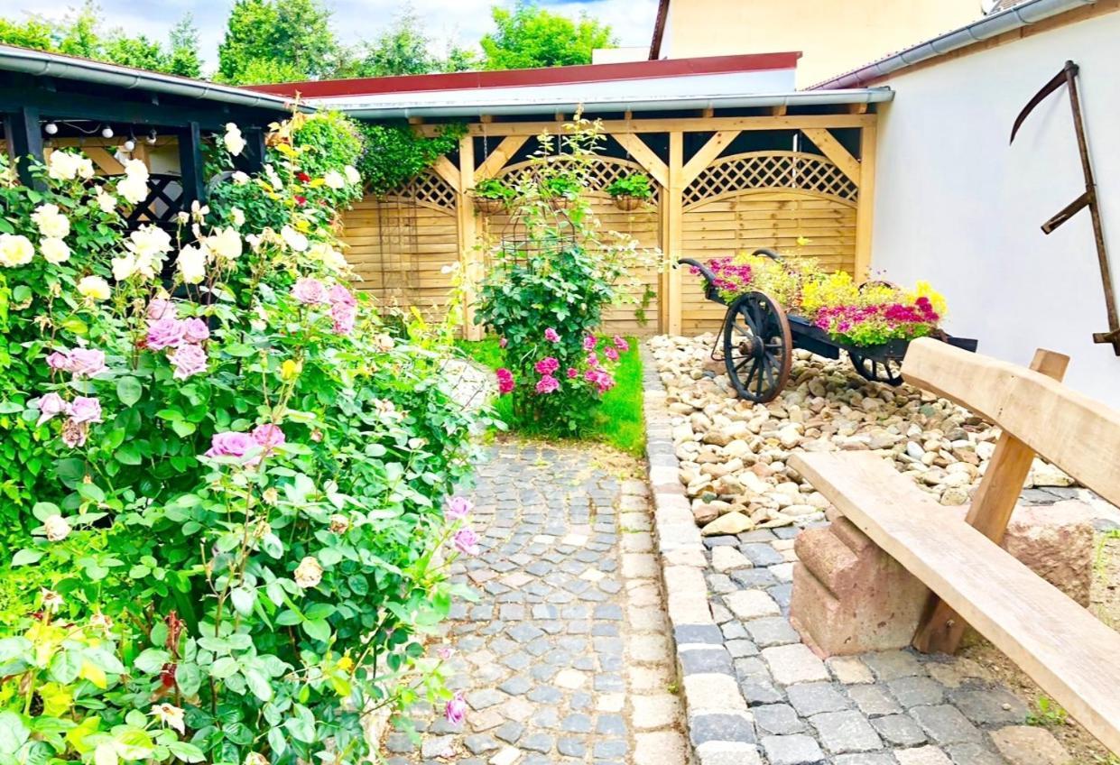 Ferienwohnungen Grimma 4 ภายนอก รูปภาพ